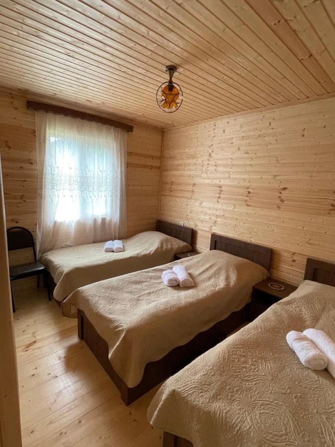 Warm House Pension Kasbegi Buitenkant foto