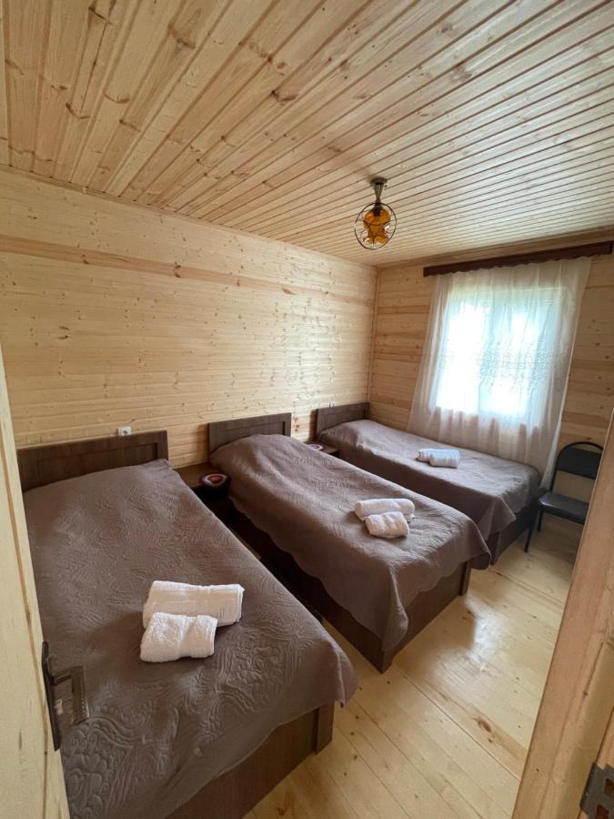Warm House Pension Kasbegi Buitenkant foto