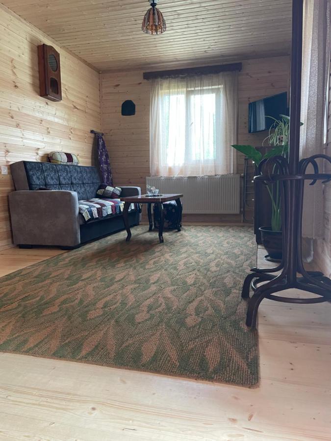 Warm House Pension Kasbegi Buitenkant foto